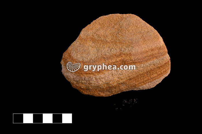 Grès (Utah, USA) - gryphea.com